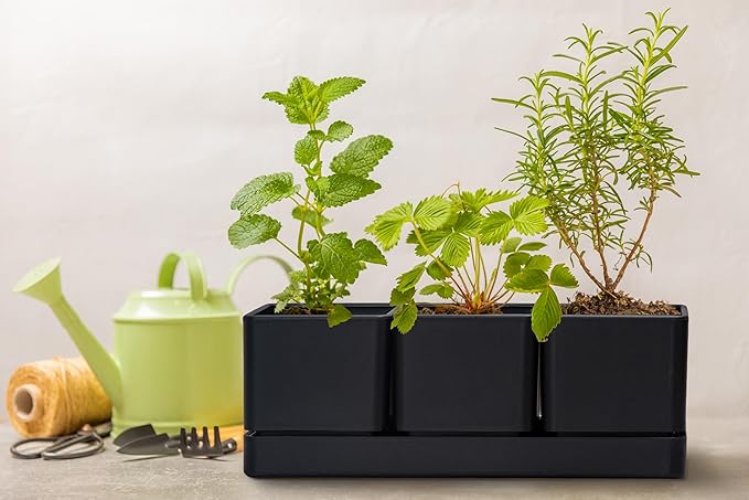 D'vine Dev Herb Garden Planter Set, Plastic Plant Pots with Drainage and Saucer, Indoor Succulent Cactus Vegetable Pot for Windowsill, Garden Balcony, Black, Set of 2, 76-V-B-2