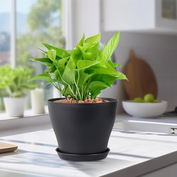 6 inch Plastic Nursery Pots, 16 Pack Plant Pots for Small Indoor Outdoor Plants, Flower Pots with Drainage Holes and Saucers, Decorative Seedling Starter Planters for House Plants, Black