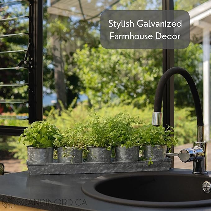 SCANDINORDICA Galvanized Metal Herb Planter, 5 Pots with Drainage Holes, Indoor Outdoor Use, Farmhouse Decor, 19.5x3.9x3.5 inches
