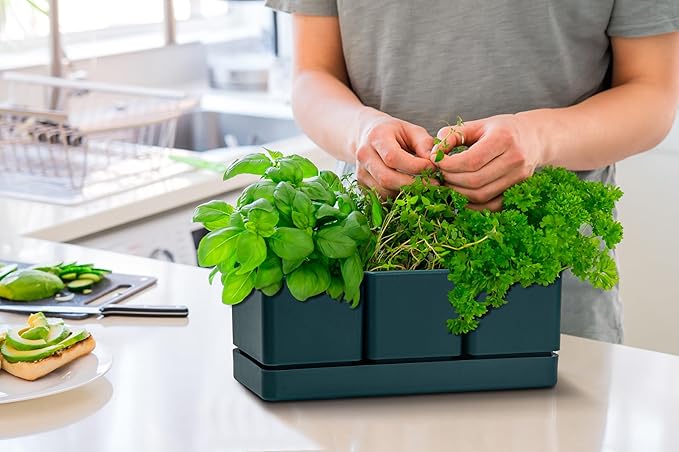 D'vine Dev Herb Garden Planter Set, Plastic Plant Pots with Drainage and Saucer, Indoor Succulent Cactus Vegetable Pot for Windowsill, Garden Balcony, Green, Set of 1, 76-V-C-1